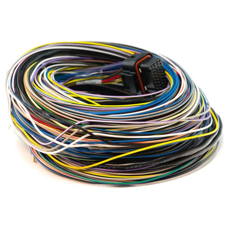 Link G4 + / G4X B Loom Long (5LB) - Wiring Loom