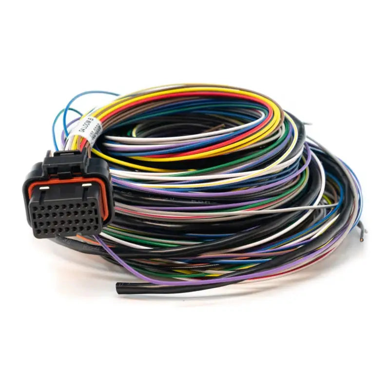 LINK G4 + / G4X LOOM B 2.5M - Wiring Loom