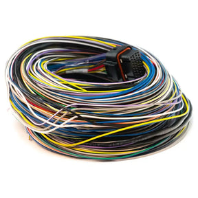 Link G4 + / G4X B Loom Long (5LB) - Wiring Loom