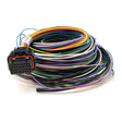 LINK G4 + / G4X LOOM B 2.5M - Wiring Loom